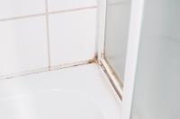 Sanitärfuge sanierungsbedürftig, Versiegler  Bremen